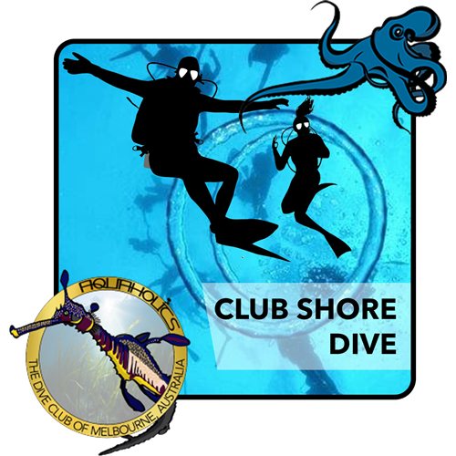 Club Shore Dive : Any Destination